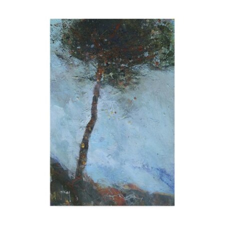 Trademark Fine Art Paul Bailey 'Lone Moorland Pine' Canvas Art, 30x47 IC00360-C3047GG